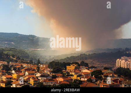 Waldbrände wüten am 25. Juli 2023 in Cascais, Portugal. Das Lauffeuer begann in einer bergigen Gegend des Sintra-Cascais Parks, der sich über etwa 56 145 westlich von Lissabon erstreckt. Es wurden mehr als 600 Feuerwehrleute hergebracht, und Wasserbombenflugzeuge bekämpften ebenfalls den Brand, mussten aber bei Einbruch der Nacht den Betrieb einstellen. Am frühen Morgen des 26. Juli 2023 war das Feuer gelöscht Stockfoto