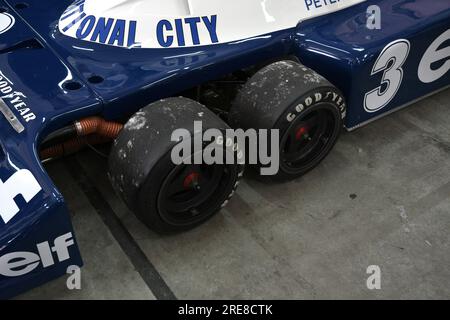 6. Mai 2018: Historischer 1977 F1 Tyrrell P34 Ex Ronnie Peterson während des Minardi Historic Day 2018 in Imola Circuit in Italien. Stockfoto