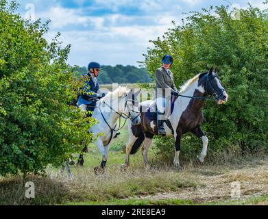 An einem Sommernachmittag hacken sich zwei Damen über die Felder und reiten auf Pferden, während sie durch eine Lücke in der Hecke gehen Stockfoto