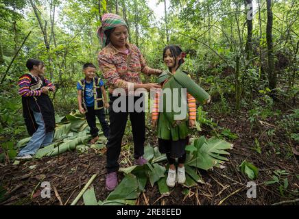 (230726) -- JINPING, 26. Juli 2023 (Xinhua) -- Zhang Puzhongs Frau Wang Suying (2. R) kleidet ihre Enkelin mit Bananenblättern im Wald nahe dem Dorf Xiaxinzhai, der Gemeinde Zhemi, dem Bezirk Jinping, der Autonomen Präfektur Honghe Hani und Yi, Provinz Yunnan 23. Juli 2023. Nach Tagen des Nachdenkens beschloss Zhang Puzhong, seinen Enkeln etwas lehrreiches zu tun: Sie in den Wald zurückzubringen, den er vor mehr als 60 Jahren als Kind lebte. Das ist sehr wichtig. Ich weiß, wie glücklich ich heute bin, denn ich vergesse nie, wie bitter mein Leben in der Vergangenheit war“, sagte Zhang. Stockfoto