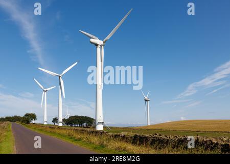 Windturbinen bei Royd Moor Stockfoto