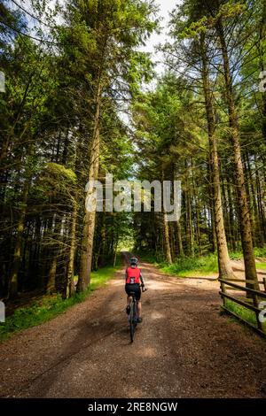 Radfahrerin auf den Schotterwegen des Gisburn Forest, Lancashire, Großbritannien. Stockfoto