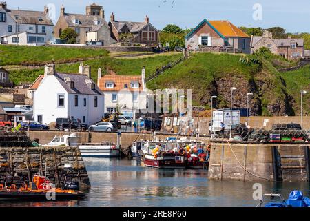 St Abbs Harbour ein kleiner Fischereihafen an der Ostküste Schottlands Stockfoto