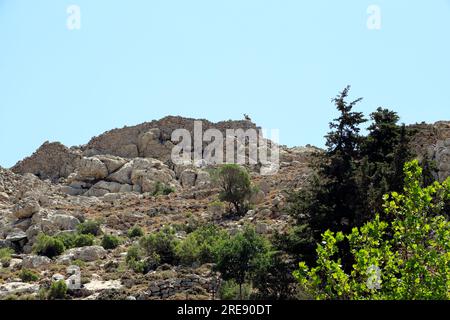 Missaria Burg und die Berge von Tilos, Tilos Island, Dodecanese Inseln, südliche Ägäis, Griechenland. Stockfoto