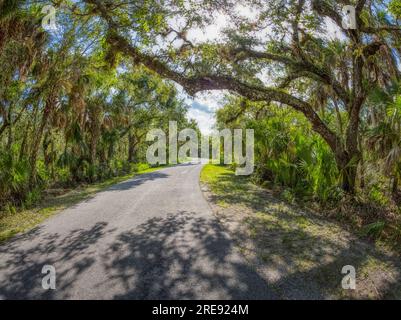 Der Myakka River State Park in Sarasota Floirida USA Stockfoto