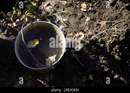 Wassereimer im Garten. Eimer auf der Straße. Wasser mit Blättern. Gartenwerkzeug. Stockfoto