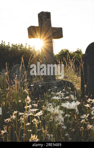 Ein uralter Stein kreuzt ein vergessenes Grab und umgeben von wilden Blumen in Erinnerung an die Toten bei Sonnenuntergang mit Sonnenschein und Kopierraum Stockfoto