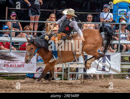 Amerikanisches Rodeo, das heute im Westen der USA und Kanada besonders beliebt ist. Aus der Arbeit mit Rindern. Stockfoto