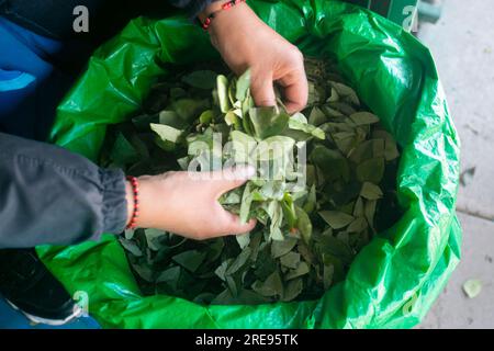 Coca geht an einem Verkaufsstand auf dem zentralen Markt der Stadt Cusco in Peru zum Verkauf. Stockfoto