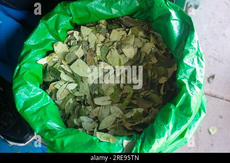 Coca geht an einem Verkaufsstand auf dem zentralen Markt der Stadt Cusco in Peru zum Verkauf. Stockfoto