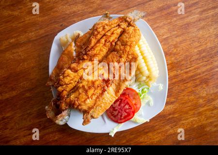 Chicharron de Trucha. Traditionelles Andenrezept in Peru mit gebratener Forelle, serviert mit Kassava und Salat. Stockfoto