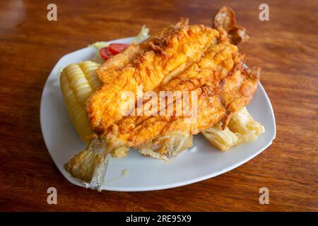 Chicharron de Trucha. Traditionelles Andenrezept in Peru mit gebratener Forelle, serviert mit Kassava und Salat. Stockfoto