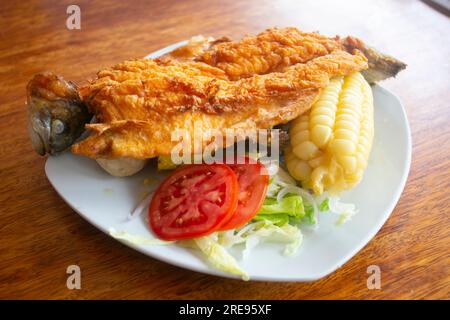 Chicharron de Trucha. Traditionelles Andenrezept in Peru mit gebratener Forelle, serviert mit Kassava und Salat. Stockfoto