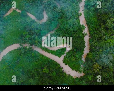 Luftaufnahme der schmalen Straße durch grüne Bäume, die im Wald im ländlichen Gebiet von Amazonas wachsen Stockfoto