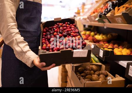 Seitenansicht eines verkürzten, nicht wiedererkennbaren Verkäufers, der eine Schachtel frischer, reifer Pflaumen in der Nähe verschiedener Obst- und Gemüsesorten im Supermarkt zeigt Stockfoto
