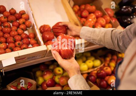 Erntegutverkäufer in Uniform, der während der Arbeit im Lebensmittelgeschäft frische reife Tomaten aus einer Holzkiste pflückt Stockfoto