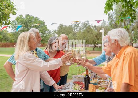 Gruppe positiver männlicher und weiblicher Freunde mittleren Alters, die während des Geburtstags im Park mit Weingläsern klappern Stockfoto