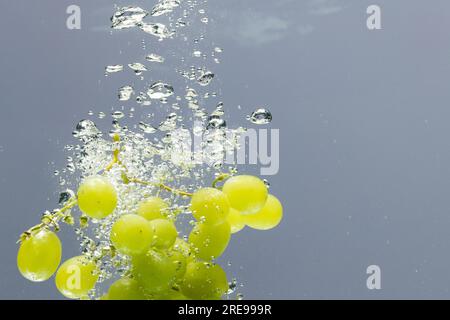 Nahaufnahme von weißen Trauben, die ins Wasser fallen, mit Kopierraum auf grauem Hintergrund Stockfoto