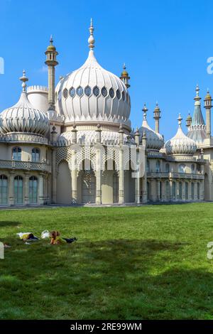 BRIGHTON, GROSSBRITANNIEN - 16. SEPTEMBER 2014: Dies ist ein Teil des Rasens vor dem königlichen Pavillon mit Menschen, die sich auf dem Gras ausruhen. Stockfoto