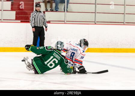 New England Warriors gegen Spaulding Boston Shamrocks beim Hero's Cup Hockey Turnier Stockfoto