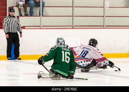 New England Warriors gegen Spaulding Boston Shamrocks beim Hero's Cup Hockey Turnier Stockfoto