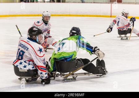 New England Warriors gegen Spaulding Boston Shamrocks beim Hero's Cup Hockey Turnier Stockfoto