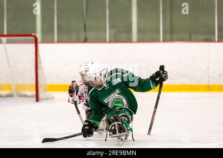 New England Warriors gegen Spaulding Boston Shamrocks beim Hero's Cup Hockey Turnier Stockfoto