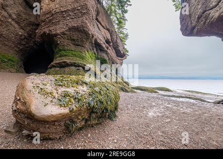 Der Hopewell Rocks Provincial Park an der Bay of Fundy beherbergt eine beeindruckende Auswahl an Meeresstapeln, die von den Gezeiten aus den Felsen geschnitzt wurden. Besucher sind Feinkostgeschäft Stockfoto