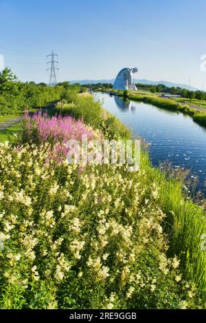 Die Kelpies mit leuchtenden und bunten Wildblumen auf Forth und Clyde Canal Bank. Helix Public Park, Falkirk, Stirlingshire, Central, Schottland, UK Stockfoto