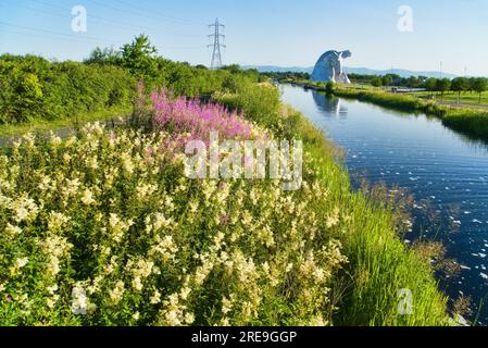 Die Kelpies mit leuchtenden und bunten Wildblumen auf Forth und Clyde Canal Bank. Helix Public Park, Falkirk, Stirlingshire, Central, Schottland, UK Stockfoto