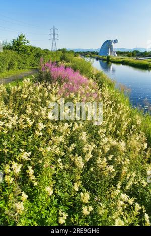 Die Kelpies mit leuchtenden und bunten Wildblumen auf Forth und Clyde Canal Bank. Helix Public Park, Falkirk, Stirlingshire, Central, Schottland, UK Stockfoto