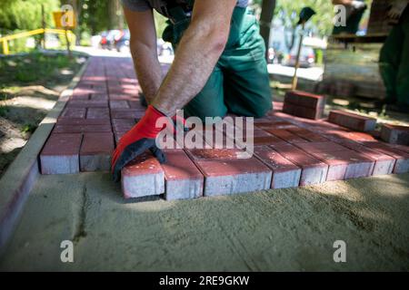 Ein qualifizierter Bauarbeiter legt rote Pflastersteine auf einen Bürgersteig. Stockfoto