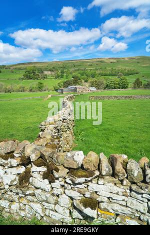 Blick nach Norden über Ackerland am Fluss Swaledale, zwischen Gunnerside und Muker Barns und trockenen Steinmauern mit berühmten Mustern. Am Fluss Swale Stockfoto