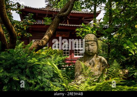 buddha vor dem Teehaus im japanischen Garten in Leverkusen, Nordrhein-Westfalen. Buddha vor dem Teehaus im Japanischen Garten in Stockfoto