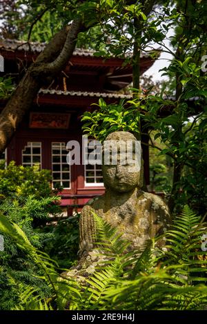 buddha vor dem Teehaus im japanischen Garten in Leverkusen, Nordrhein-Westfalen. Buddha vor dem Teehaus im Japanischen Garten in Stockfoto