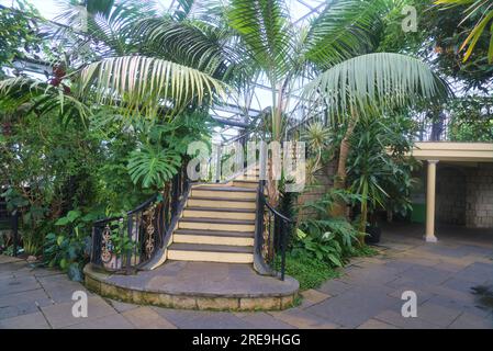 Inverness Botanic Gardens liegen in der Nähe des Flusses Ness am Westufer. Sie sind in der Nähe des Ness Islands Pfades. Inverness, Highland, Schottland, Großbritannien Stockfoto