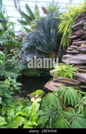 Inverness Botanic Gardens liegen in der Nähe des Flusses Ness am Westufer. Sie sind in der Nähe des Ness Islands Pfades. Inverness, Highland, Schottland, Großbritannien Stockfoto