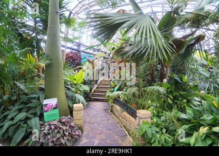 Inverness Botanic Gardens liegen in der Nähe des Flusses Ness am Westufer. Sie sind in der Nähe des Ness Islands Pfades. Inverness, Highland, Schottland, Großbritannien Stockfoto