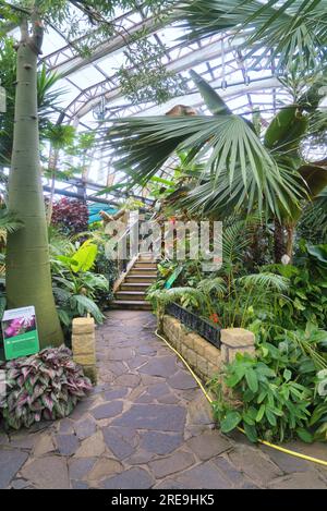 Inverness Botanic Gardens liegen in der Nähe des Flusses Ness am Westufer. Sie sind in der Nähe des Ness Islands Pfades. Inverness, Highland, Schottland, Großbritannien Stockfoto