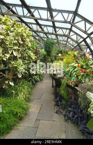 Inverness Botanic Gardens liegen in der Nähe des Flusses Ness am Westufer. Sie sind in der Nähe des Ness Islands Pfades. Inverness, Highland, Schottland, Großbritannien Stockfoto