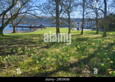 Blick nach Osten auf Loch Fyne und Pier in Inveraray, Grass Aussichtspunkt mit war Memorial. Frühlingsnarzissen. Inveraray, Loch Fyne, Argyll und Bute Scotland. Stockfoto