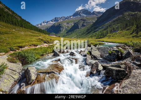 Das Wasser des Chiese-Flusses zwischen den Felsen. Val di Fumo, Bergtal, grüne Wiese. Carè Alto Berggipfel. Trentino. Italienische Alpen. Europa. Stockfoto