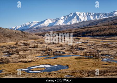 Blick aus der Vogelperspektive auf kleine Seen und Flüsse in der Nähe des Dshangyskol-Sees auf dem Estikel-Hochplateau, der Altai-Republik, Sibirien, Russland Stockfoto