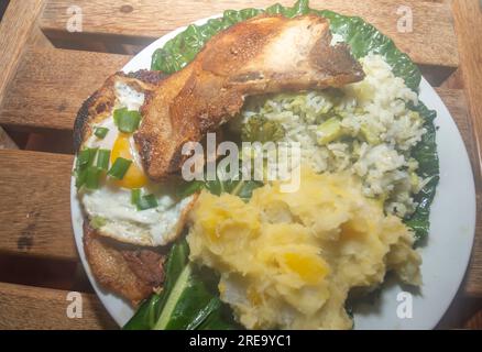 Hausgemachtes Essen mit Reis, Eiern, Schweinefleisch, Blumenkohl und Delikatessen, hausgemachtes Speisenkonzept mit natürlichem Licht. Stockfoto