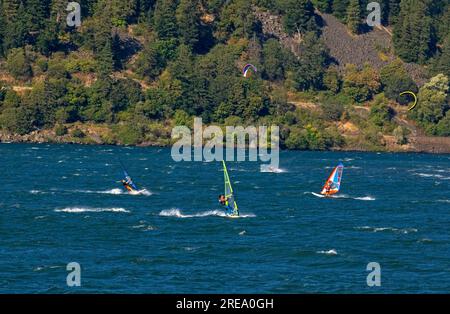 Windsurfen im Columbia River in der Stadt Hood River, OR Stockfoto