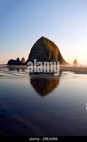 Hystack Rock mit nassem Sand am Cannon Beach, Oregon, USA Stockfoto