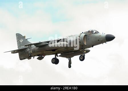 British Aerospace Sea Harrier FA2 Kampfflugzeug ZH811 landet auf der RAF Waddington für die International Airshow, Großbritannien. Sprungjet der Royal Navy Stockfoto