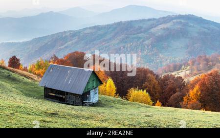 Altes Holzhaus auf einer grünen Wiese in den Karpaten. Bunte Herbstbäume im Hintergrund. Landschaftsfotografie Stockfoto