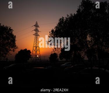 Der Schatten eines elektrischen Stabs während eines orangefarbenen Sonnenuntergangs, die Schatten der Bäume im Sonnenuntergang Stockfoto