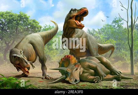 Tyrannosaurus rex jagte Einen Triceratops Stockfoto